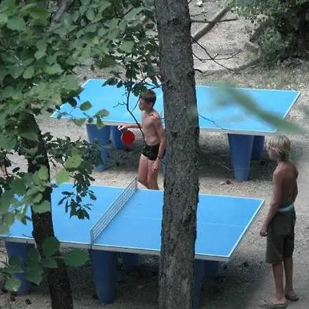 4 Etoiles - Piscine - Ccaific * Die