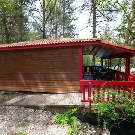4 Etoiles - Piscine - Ccaific *